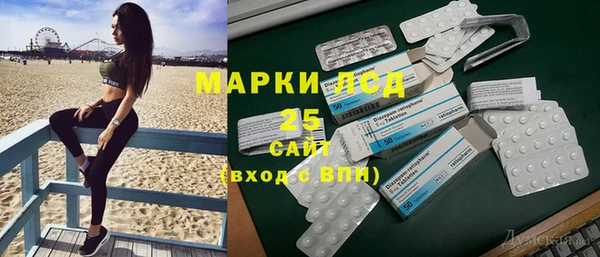 PSILOCYBIN Алзамай