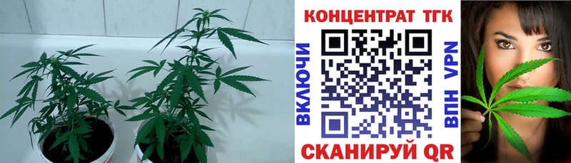 ТГК гашишное масло  купить  цена  Аргун 