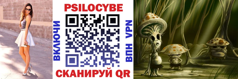 площадка формула  наркота  Аргун  Галлюциногенные грибы мухоморы 